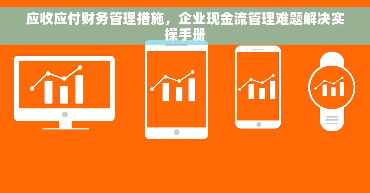 应收应付财务管理措施,企业现金流管理难题解决实操手册 应收应付财务管理措施,企业现金流管理难题解决实操手册