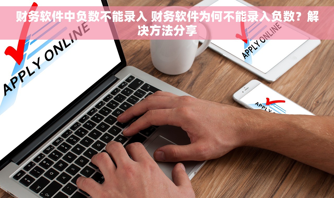 财务软件中负数不能录入 财务软件为何不能录入负数？解决方法分享