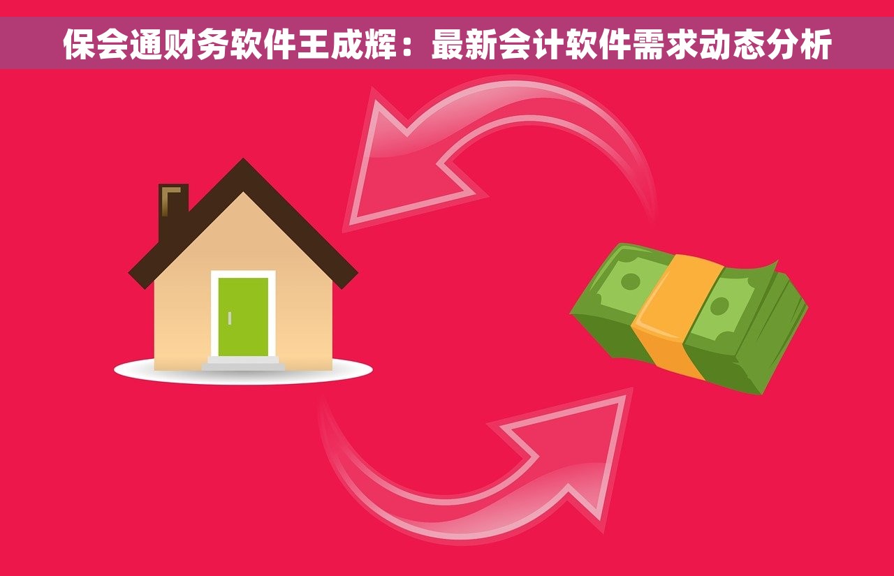 保会通财务软件王成辉：最新会计软件需求动态分析