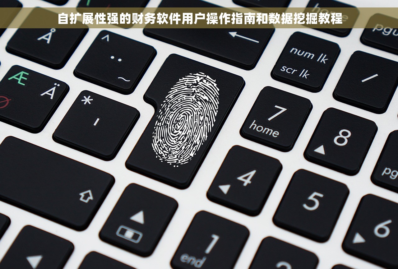 自扩展性强的财务软件用户操作指南和数据挖掘教程