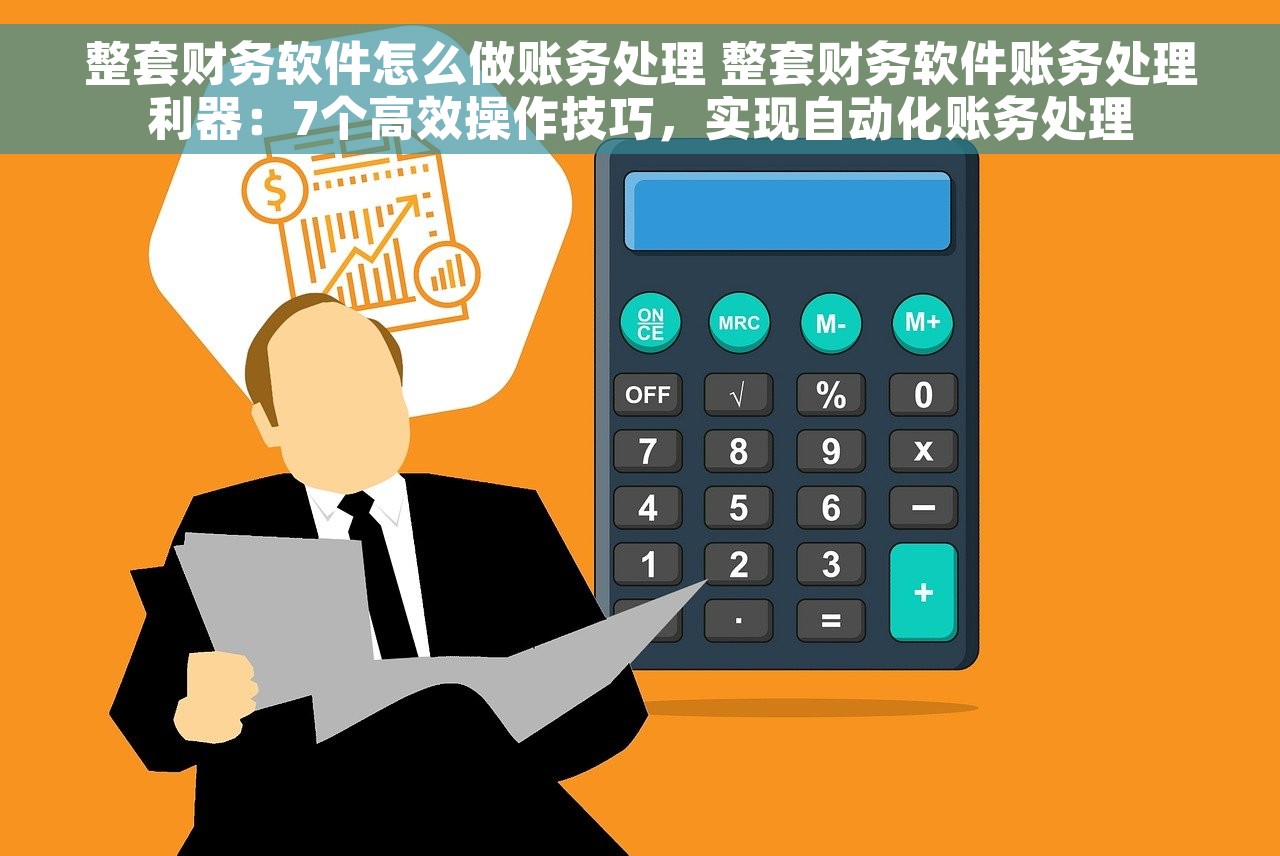 整套财务软件怎么做账务处理 整套财务软件账务处理利器：7个高效操作技巧，实现自动化账务处理