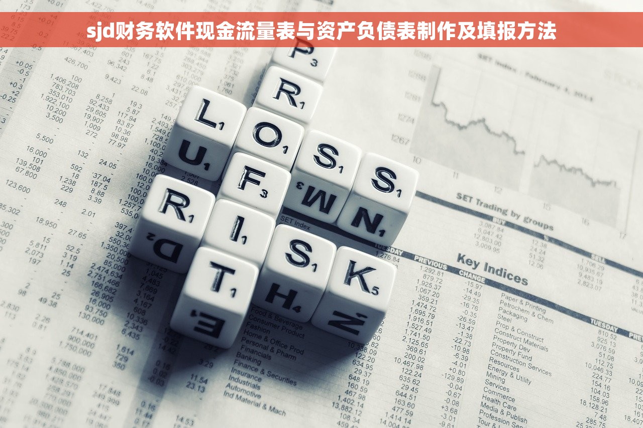 sjd财务软件现金流量表与资产负债表制作及填报方法