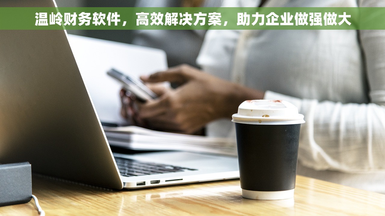 温岭财务软件，高效解决方案，助力企业做强做大