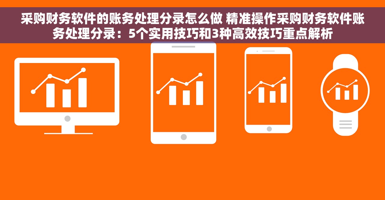 采购财务软件的账务处理分录怎么做 精准操作采购财务软件账务处理分录：5个实用技巧和3种高效技巧重点解析