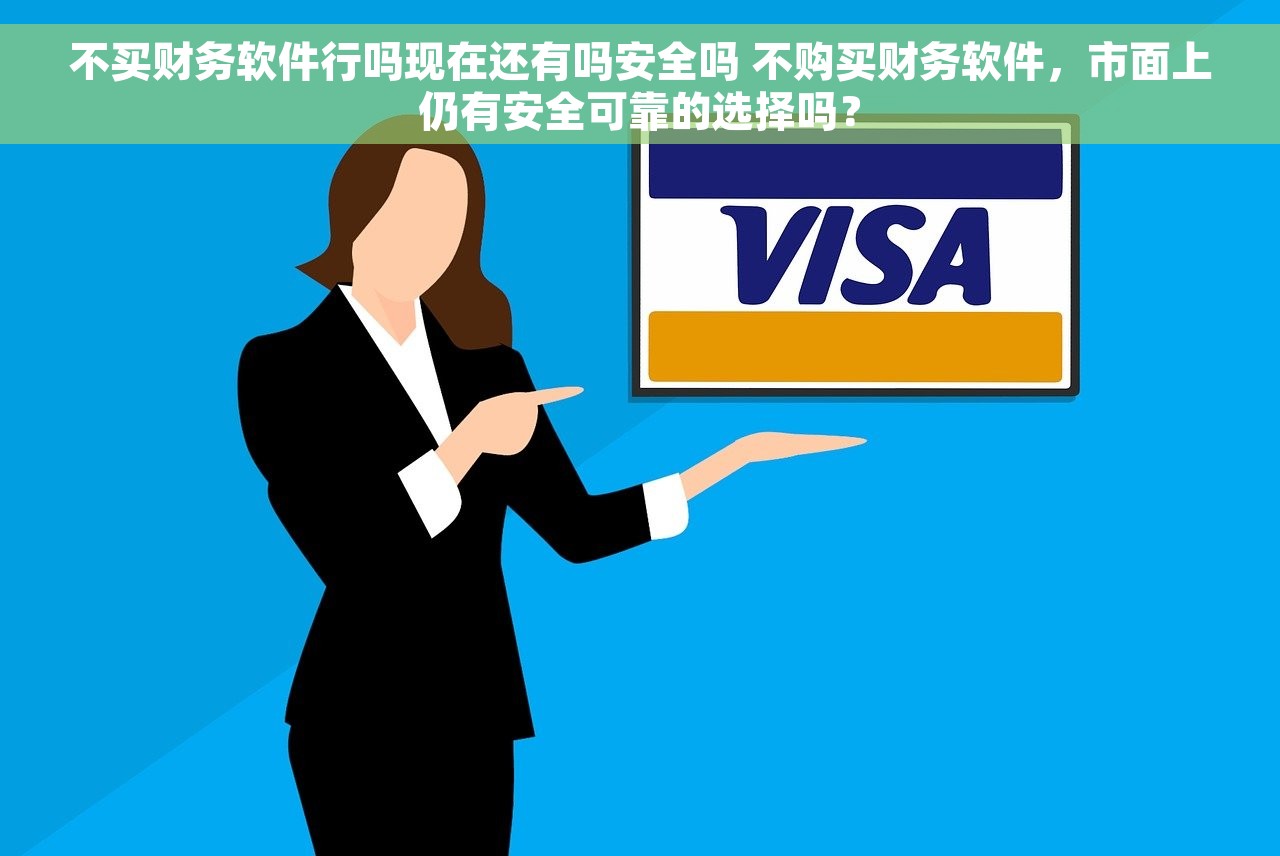 不买财务软件行吗现在还有吗安全吗 不购买财务软件，市面上仍有安全可靠的选择吗？