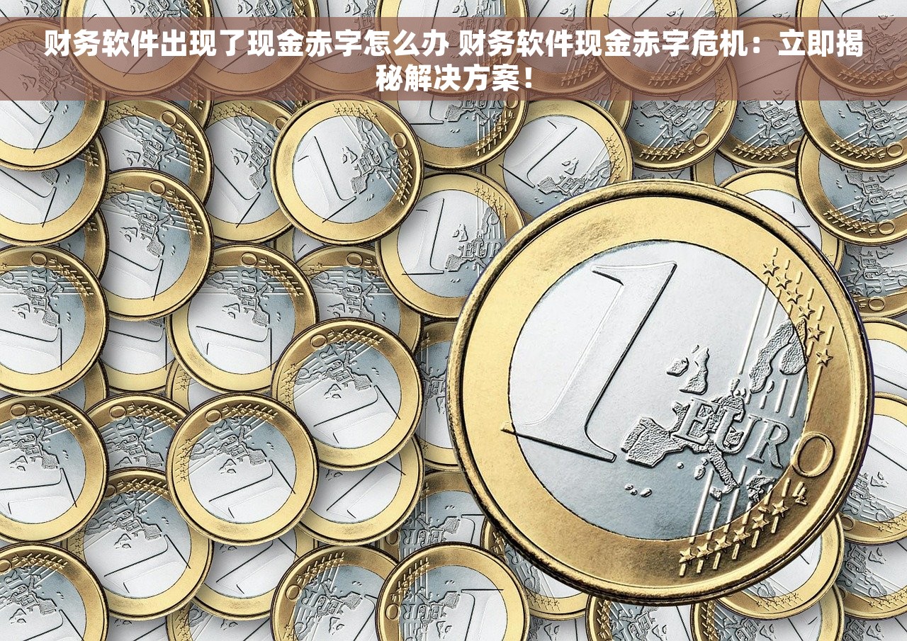 财务软件出现了现金赤字怎么办 财务软件现金赤字危机：立即揭秘解决方案！