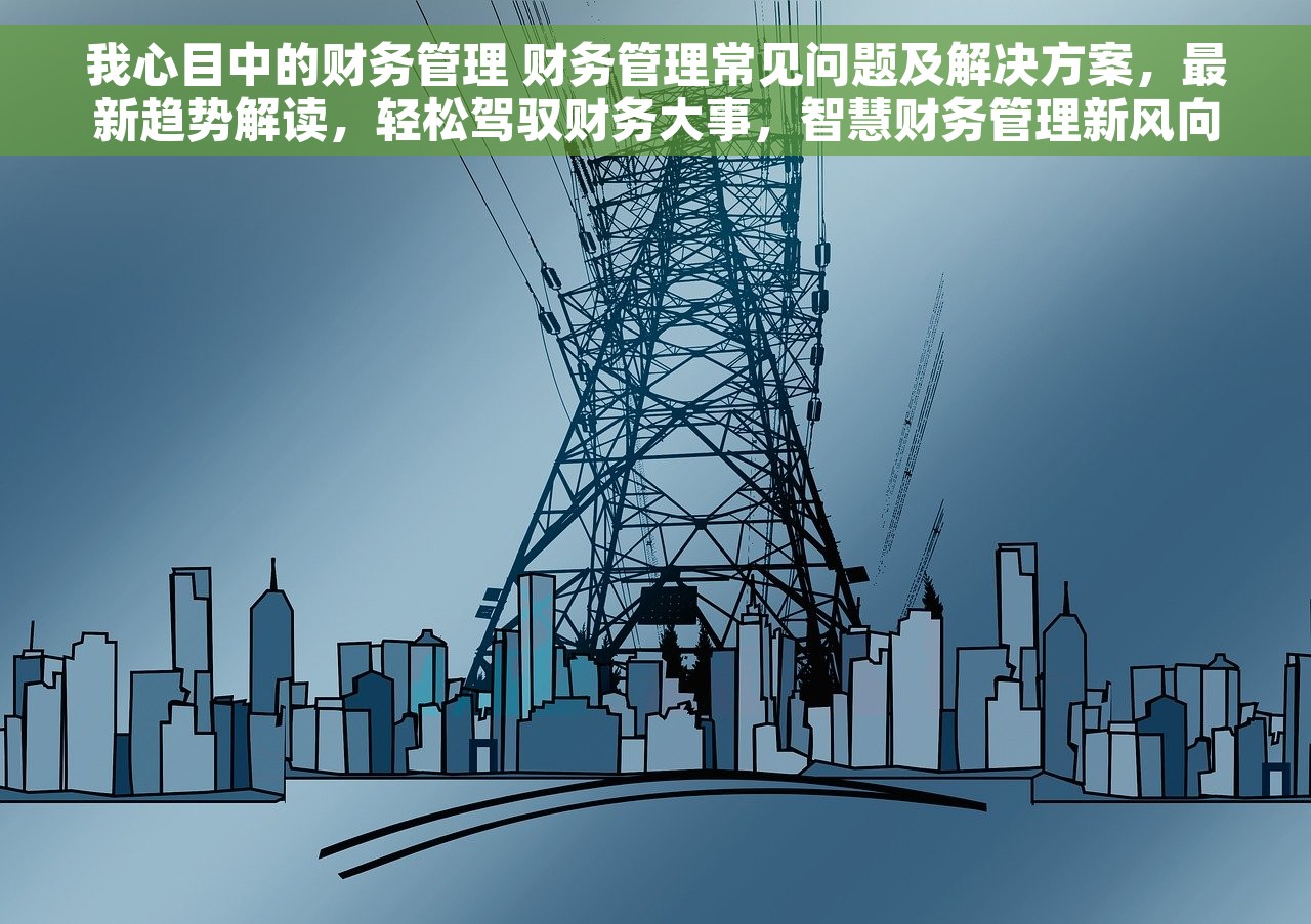 我心目中的财务管理 财务管理常见问题及解决方案，最新趋势解读，轻松驾驭财务大事，智慧财务管理新风向
