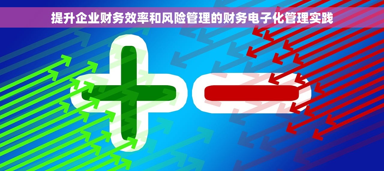 提升企业财务效率和风险管理的财务电子化管理实践