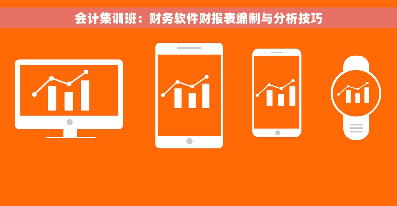 会计集训班：财务软件财报表编制与分析技巧