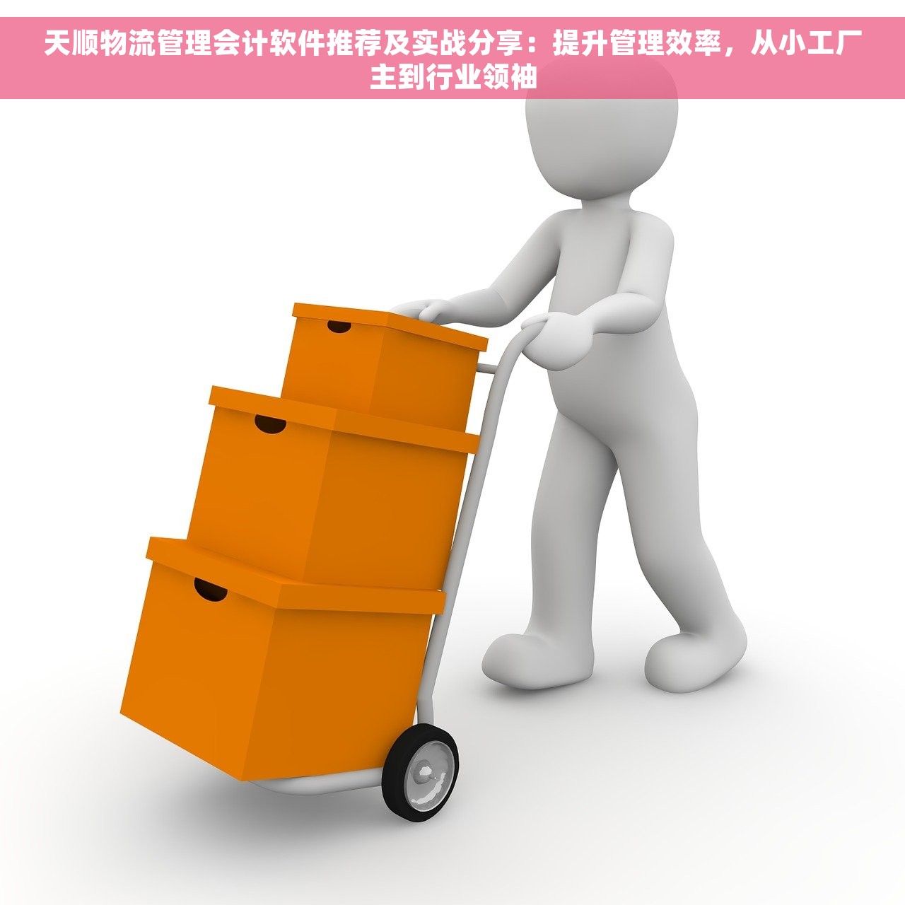 天顺物流管理会计软件推荐及实战分享：提升管理效率，从小工厂主到行业领袖