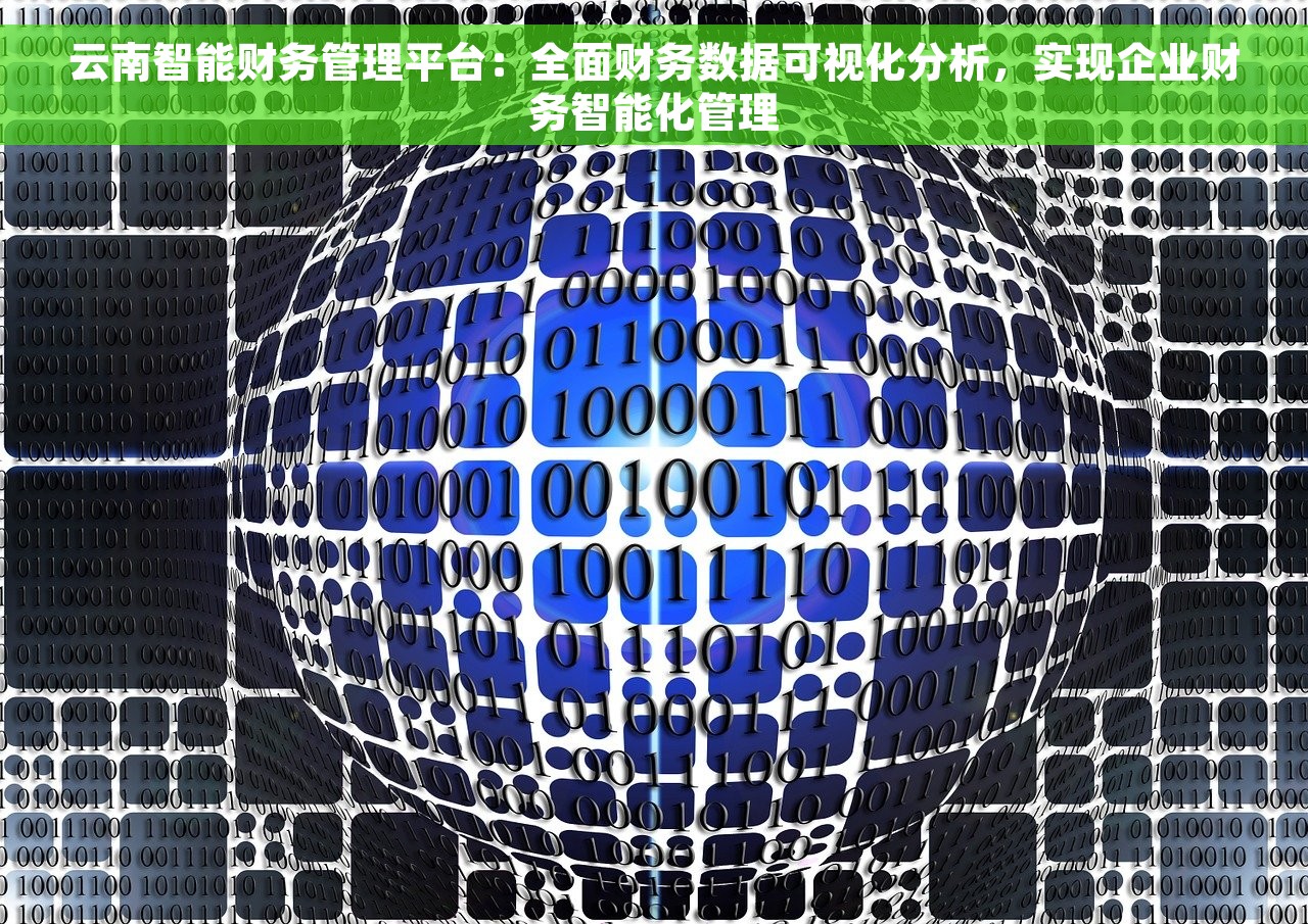 云南智能财务管理平台：全面财务数据可视化分析，实现企业财务智能化管理