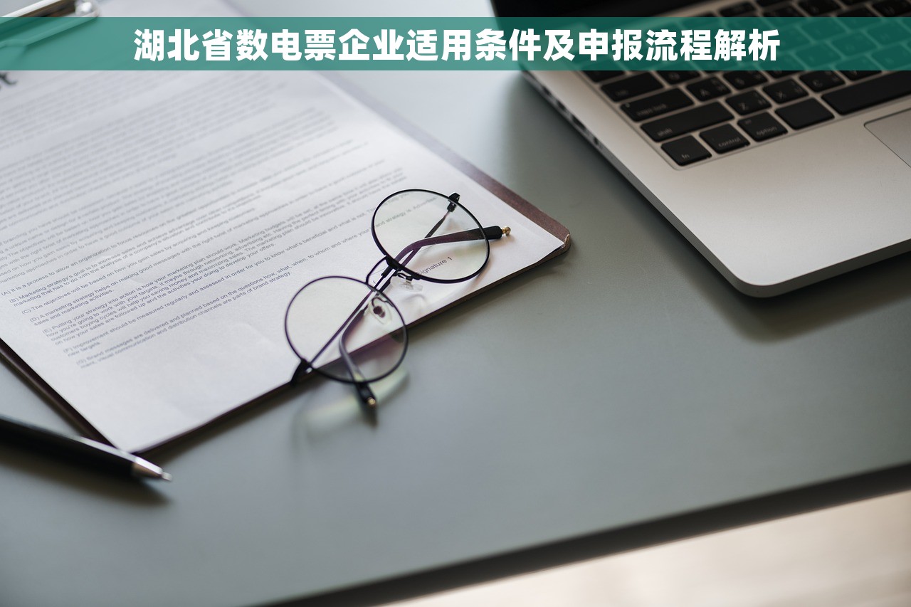 湖北省数电票企业适用条件及申报流程解析 湖北省数电票企业适用条件及申报流程解析