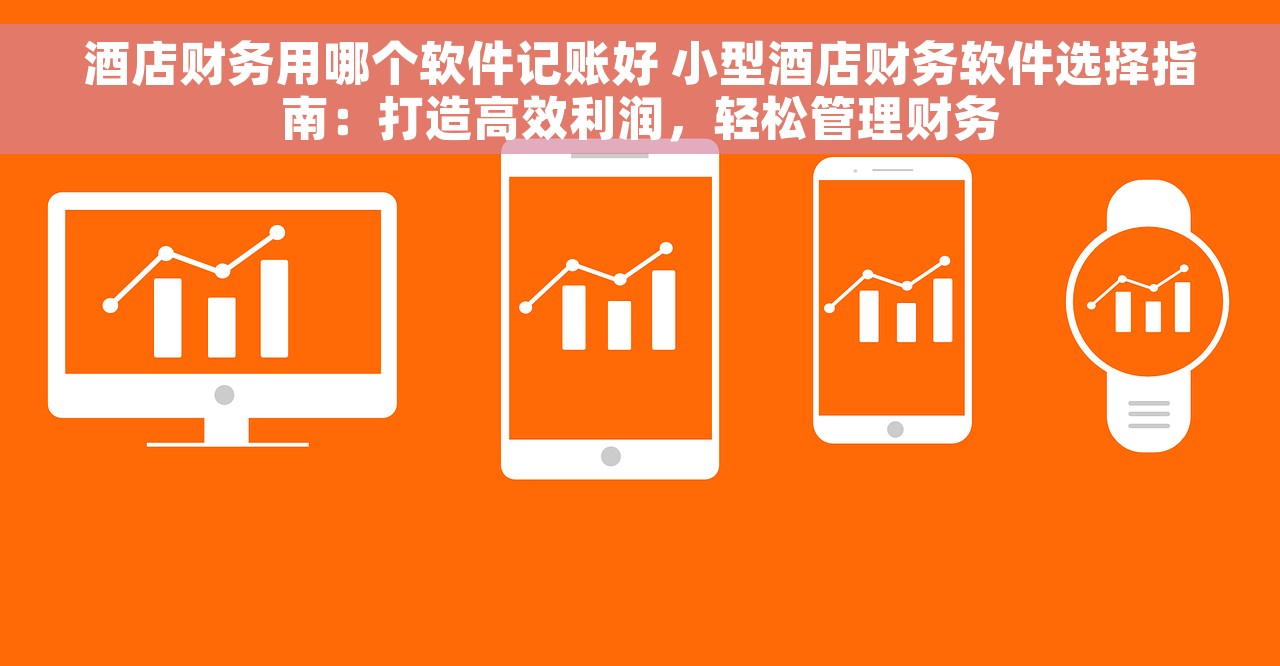 酒店财务用哪个软件记账好 小型酒店财务软件选择指南：打造高效利润，轻松管理财务