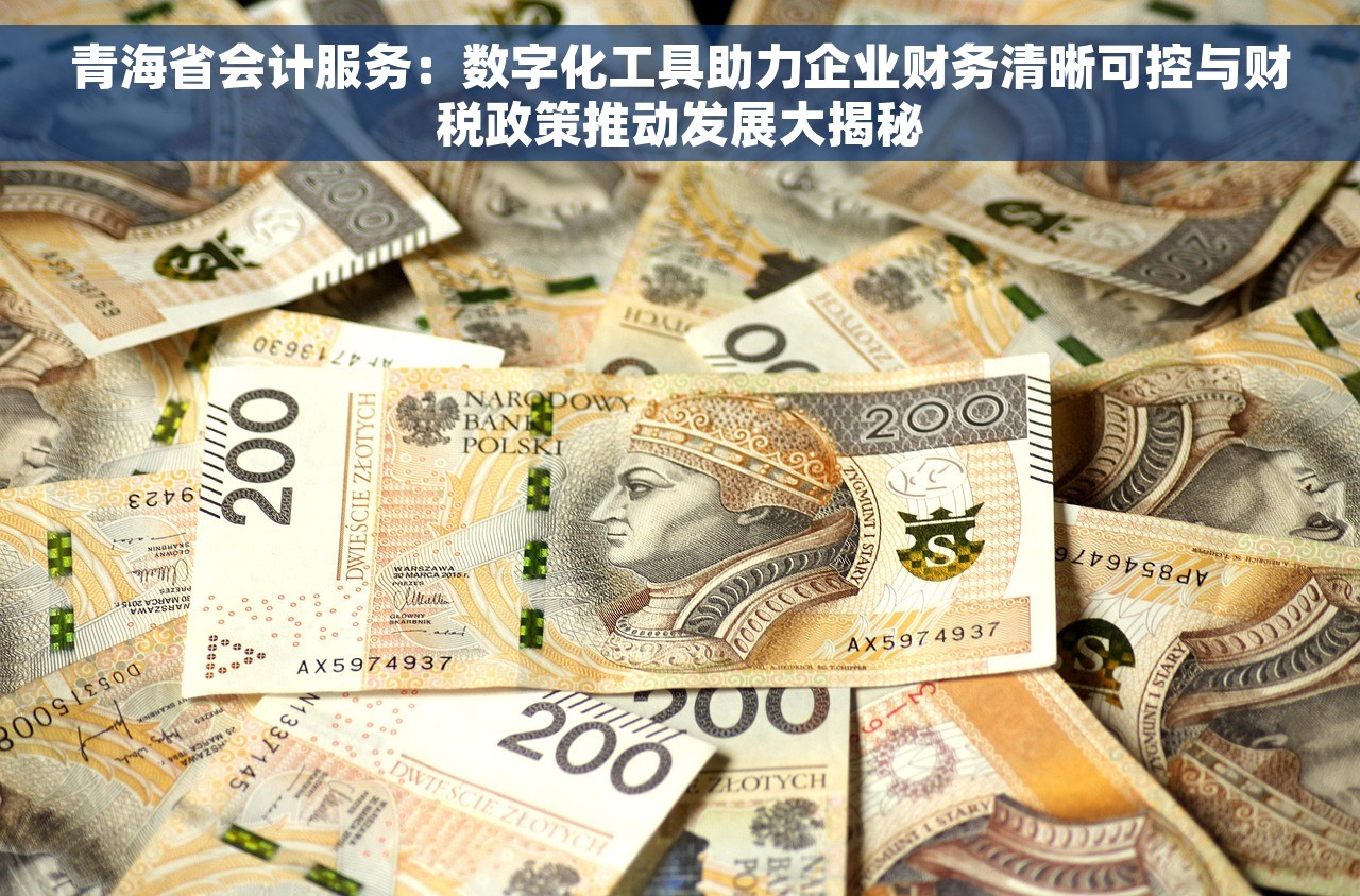 青海省会计服务：数字化工具助力企业财务清晰可控与财税政策推动发展大揭秘