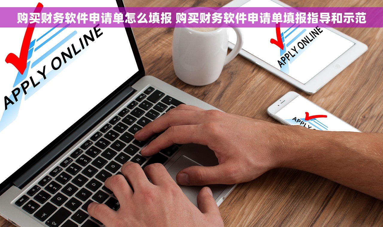 购买财务软件申请单怎么填报 购买财务软件申请单填报指导和示范