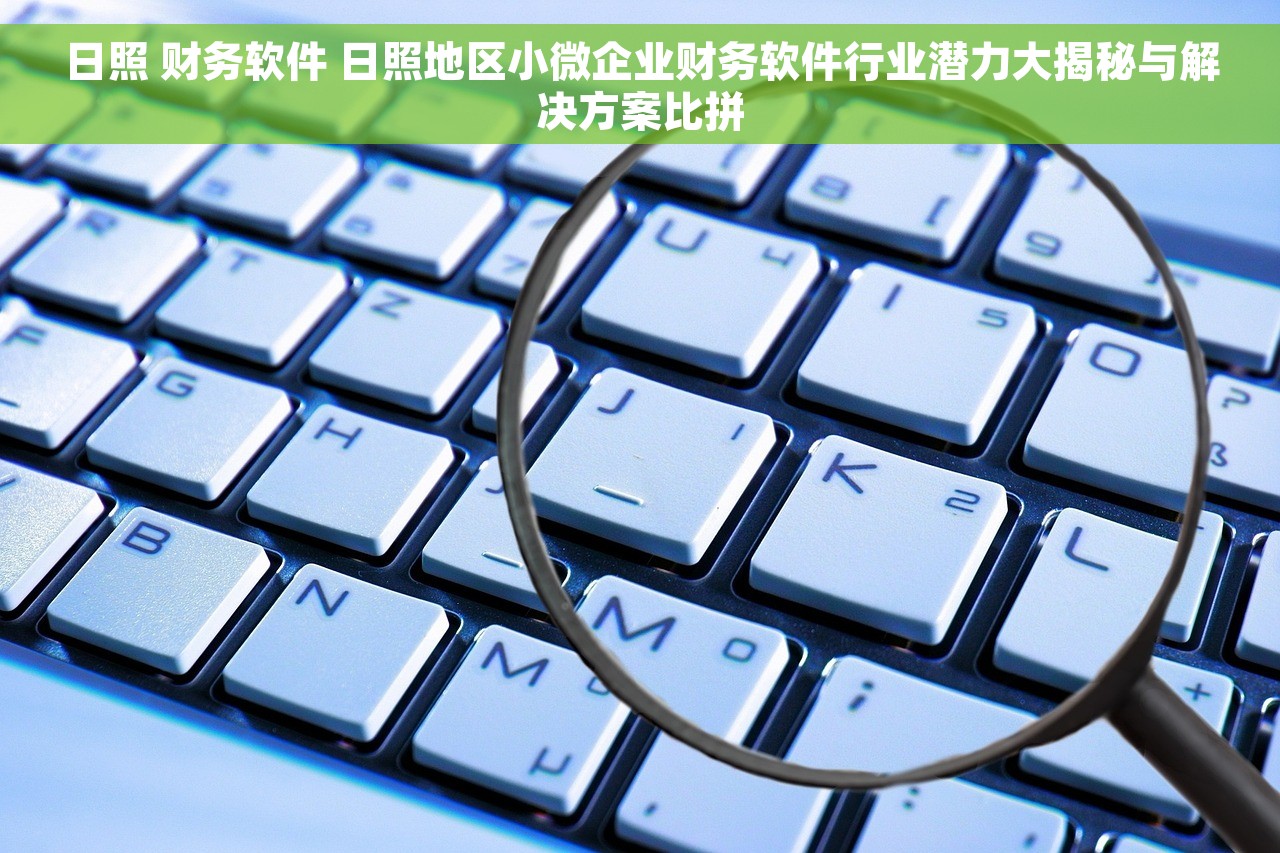 日照 财务软件 日照地区小微企业财务软件行业潜力大揭秘与解决方案比拼