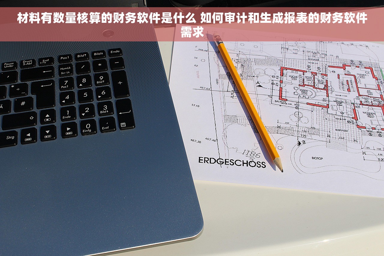 材料有数量核算的财务软件是什么 如何审计和生成报表的财务软件需求