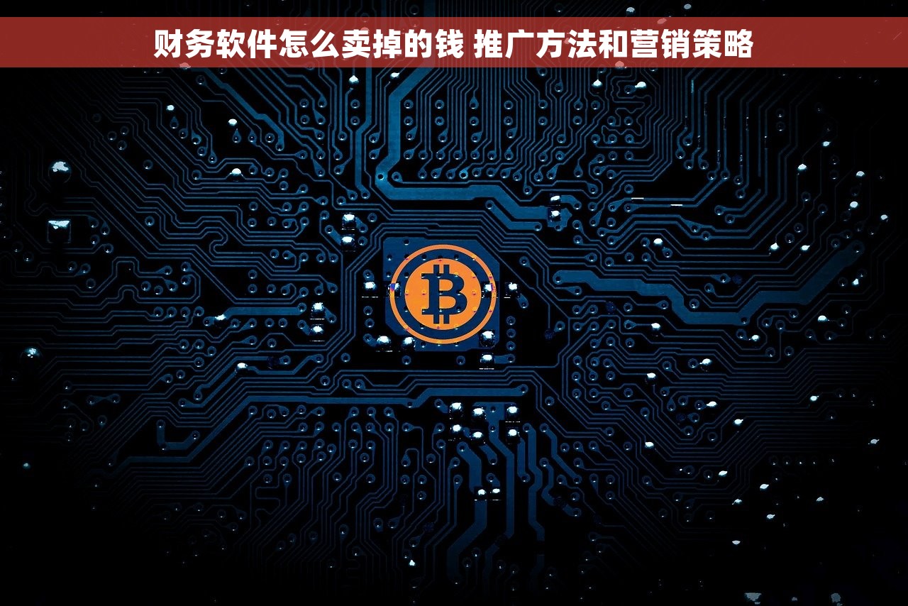 财务软件怎么卖掉的钱 推广方法和营销策略