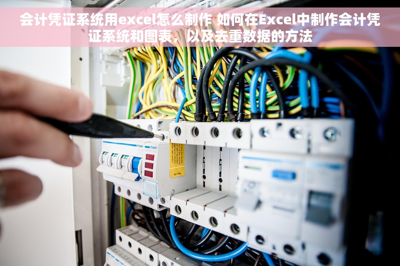会计凭证系统用excel怎么制作 如何在Excel中制作会计凭证系统和图表，以及去重数据的方法