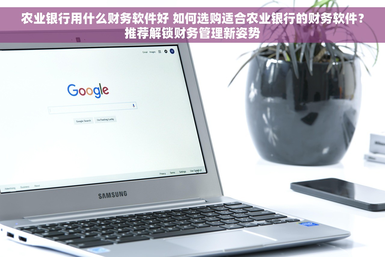 农业银行用什么财务软件好 如何选购适合农业银行的财务软件？推荐解锁财务管理新姿势