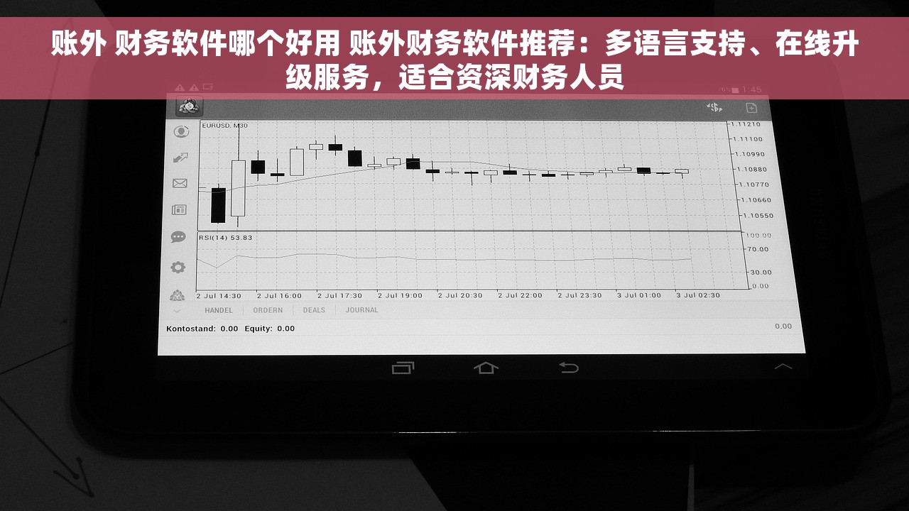 账外 财务软件哪个好用 账外财务软件推荐：多语言支持、在线升级服务，适合资深财务人员