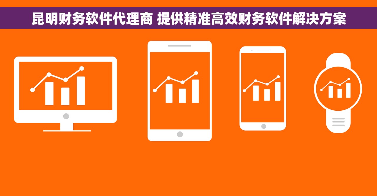昆明财务软件代理商 提供精准高效财务软件解决方案