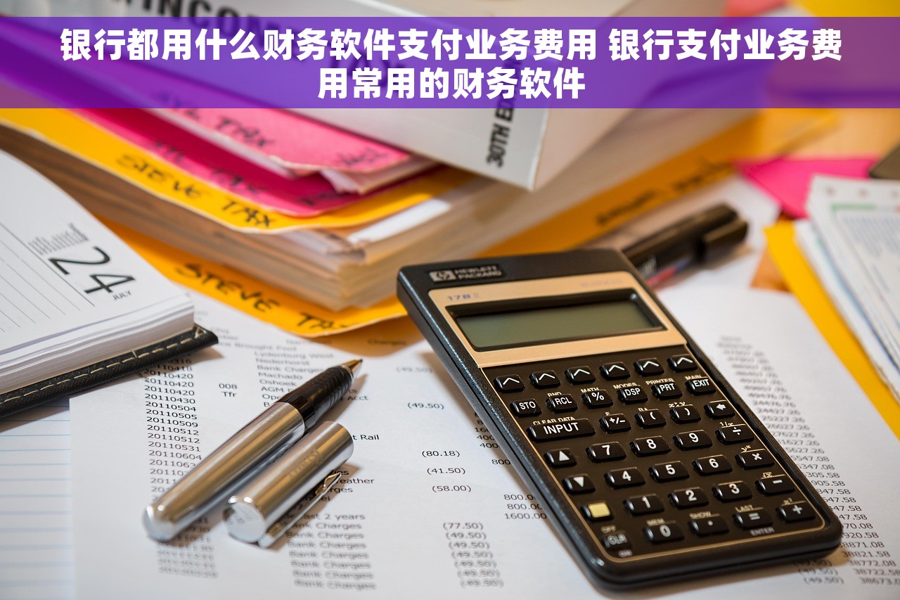 银行都用什么财务软件支付业务费用 银行支付业务费用常用的财务软件