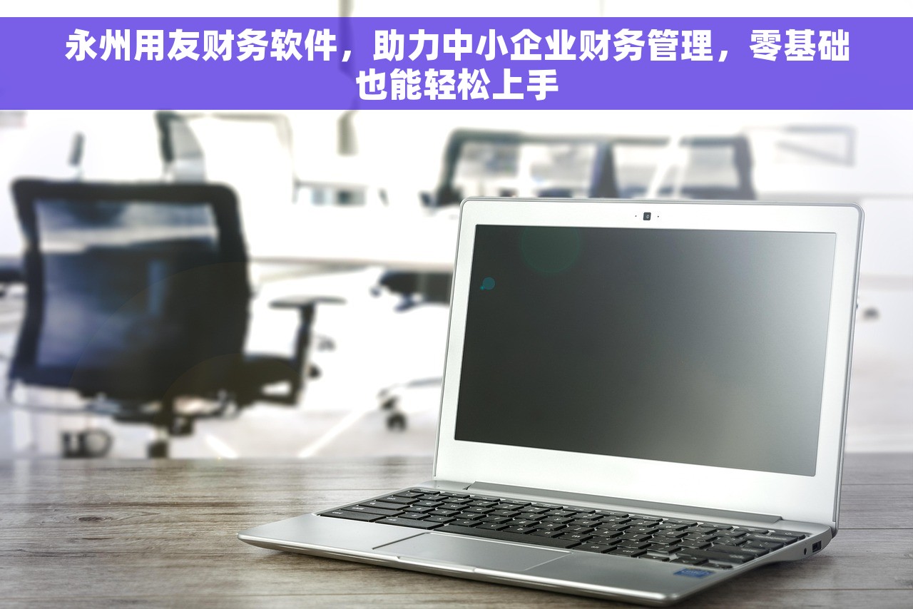 永州用友财务软件，助力中小企业财务管理，零基础也能轻松上手