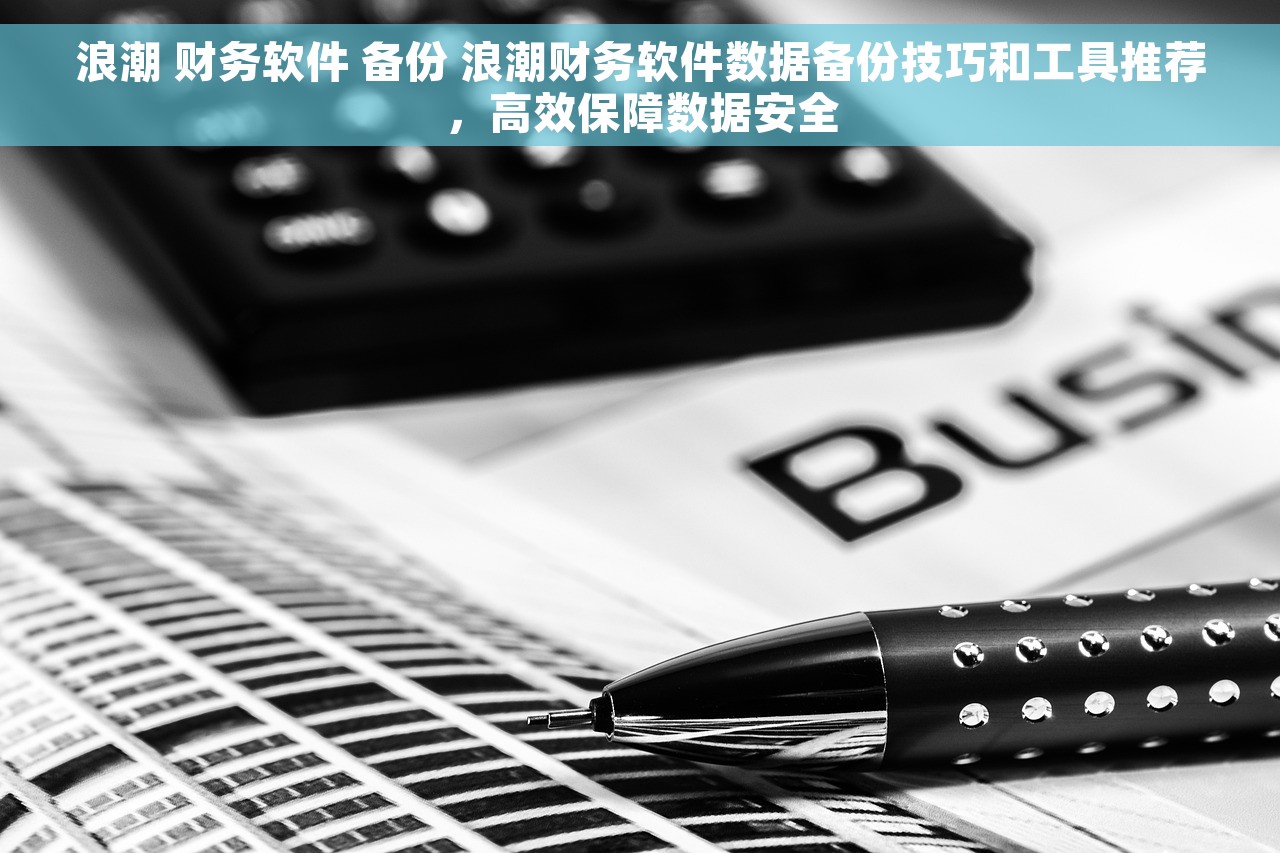 浪潮 财务软件 备份 浪潮财务软件数据备份技巧和工具推荐，高效保障数据安全