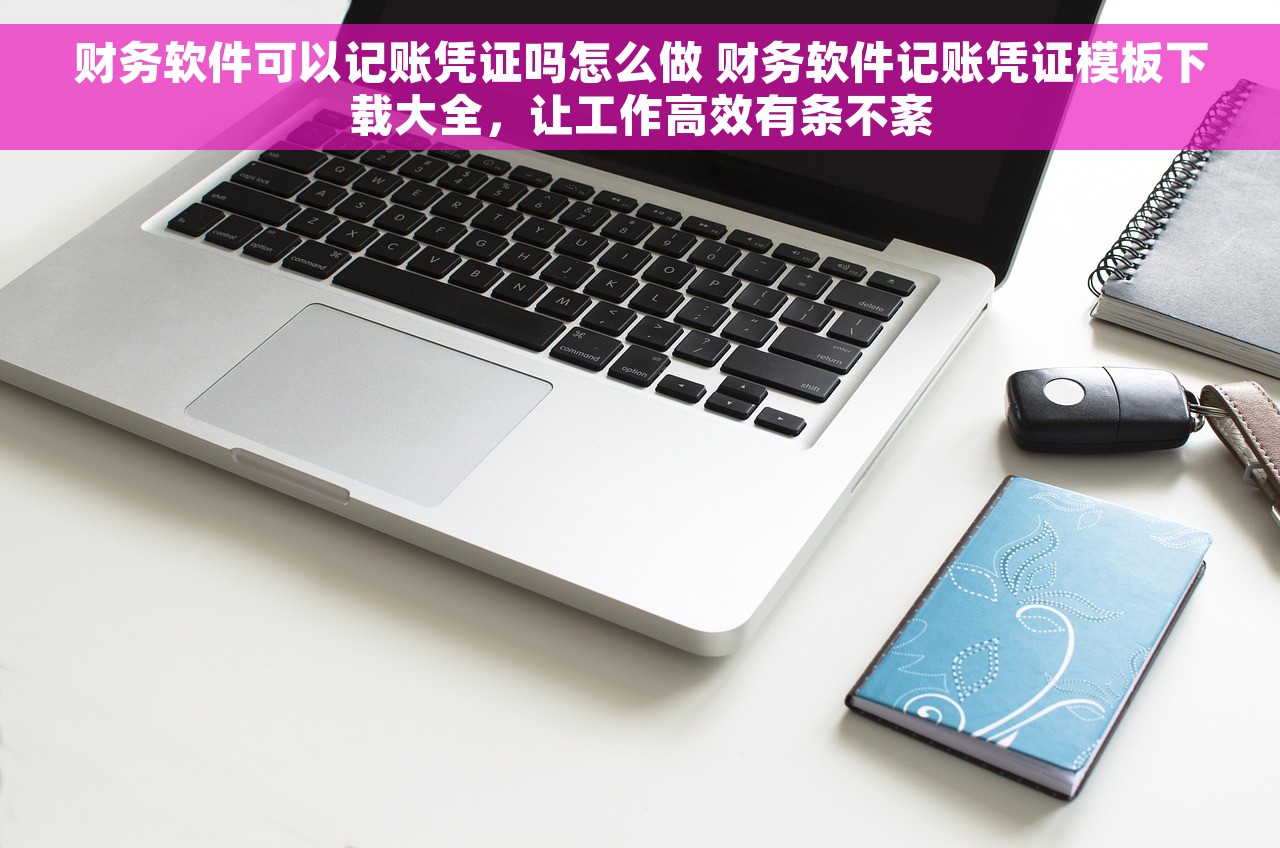财务软件可以记账凭证吗怎么做 财务软件记账凭证模板下载大全，让工作高效有条不紊