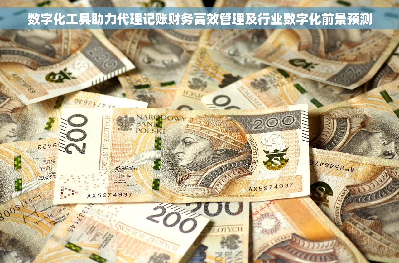 数字化工具助力代理记账财务高效管理及行业数字化前景预测