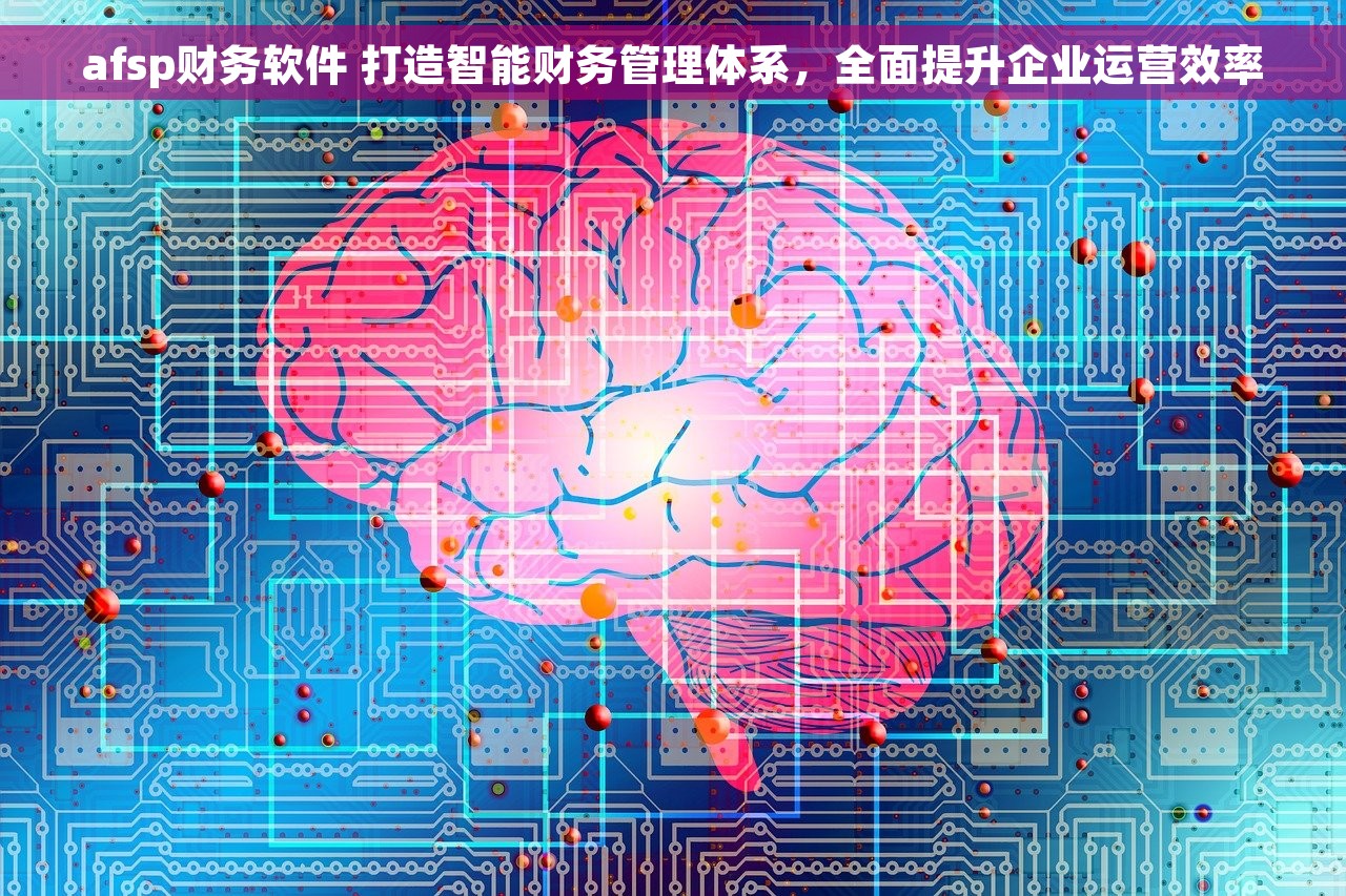 afsp财务软件 打造智能财务管理体系，全面提升企业运营效率