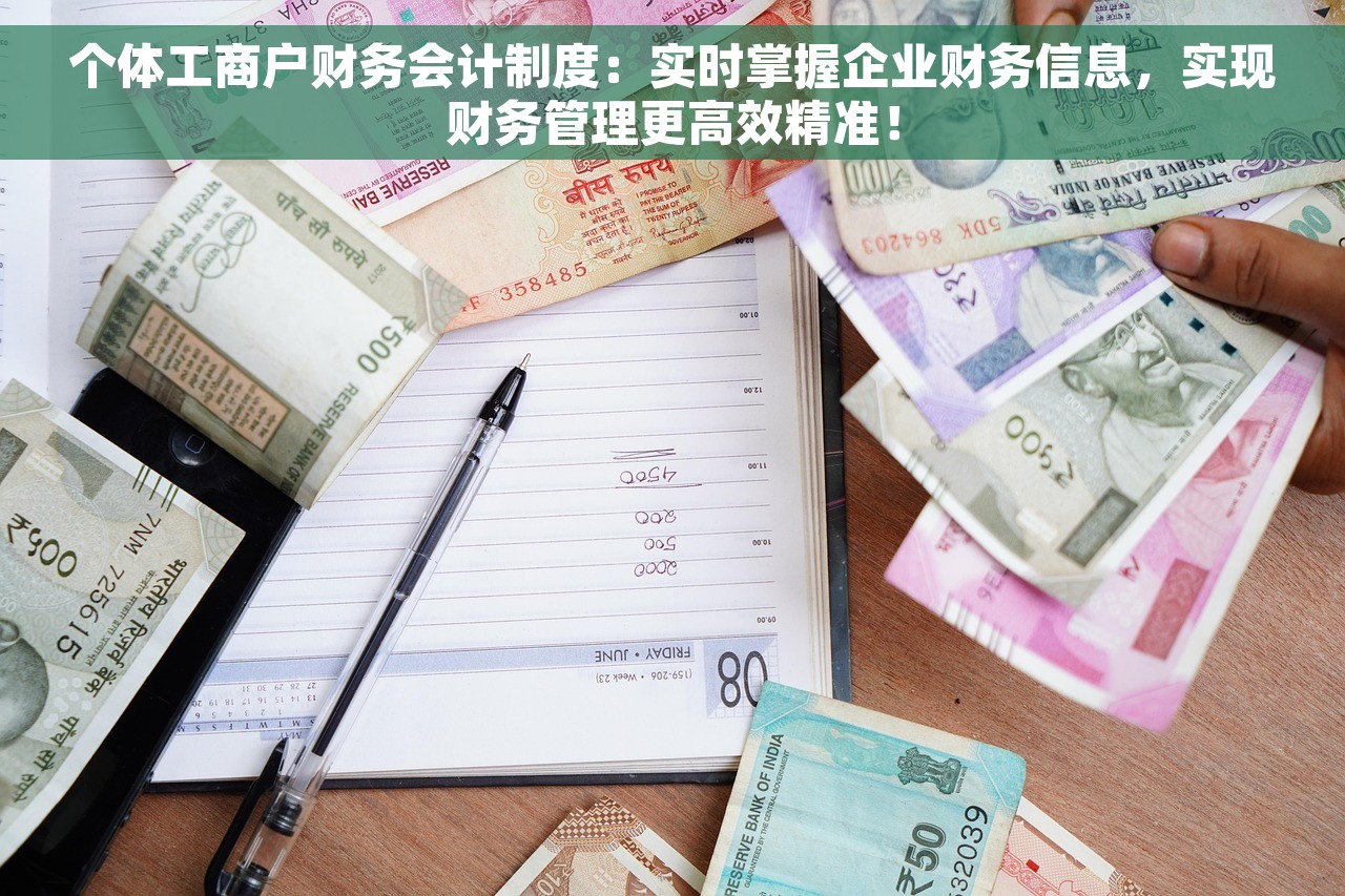 个体工商户财务会计制度：实时掌握企业财务信息，实现财务管理更高效精准！