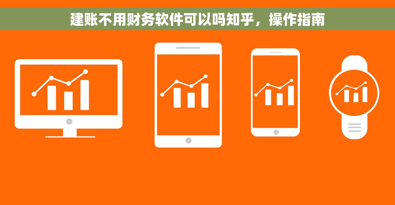 建账不用财务软件可以吗知乎，操作指南