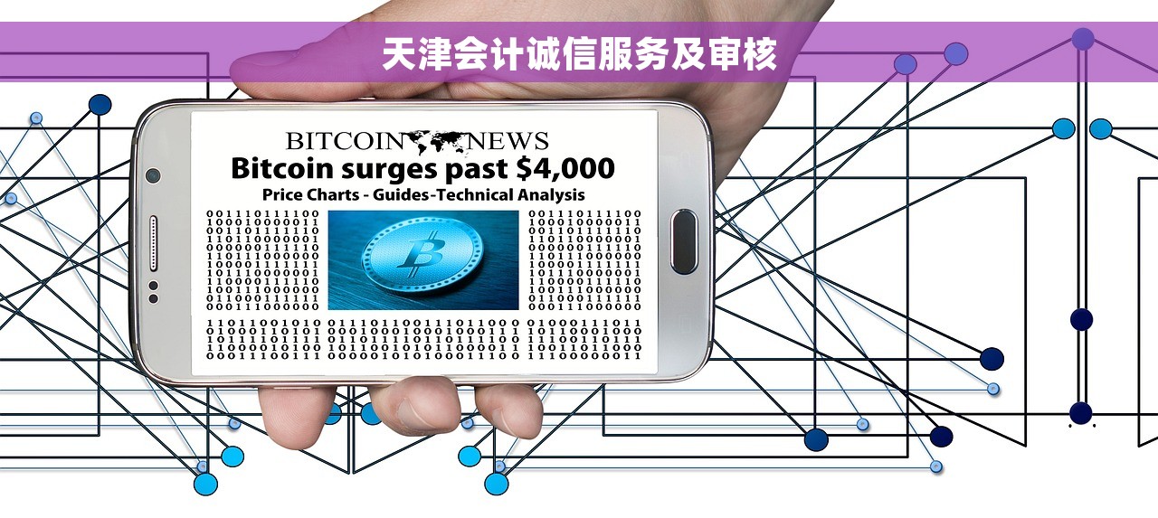 天津会计诚信服务及审核