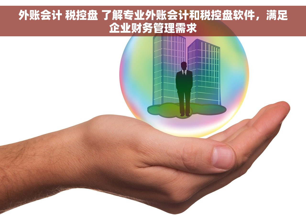外账会计 税控盘 了解专业外账会计和税控盘软件，满足企业财务管理需求
