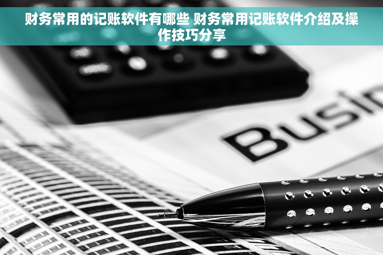 财务常用的记账软件有哪些 财务常用记账软件介绍及操作技巧分享