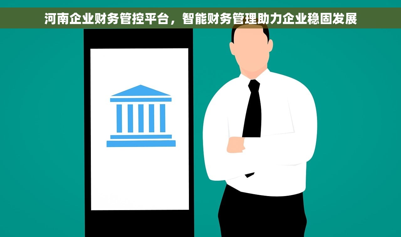 河南企业财务管控平台，智能财务管理助力企业稳固发展