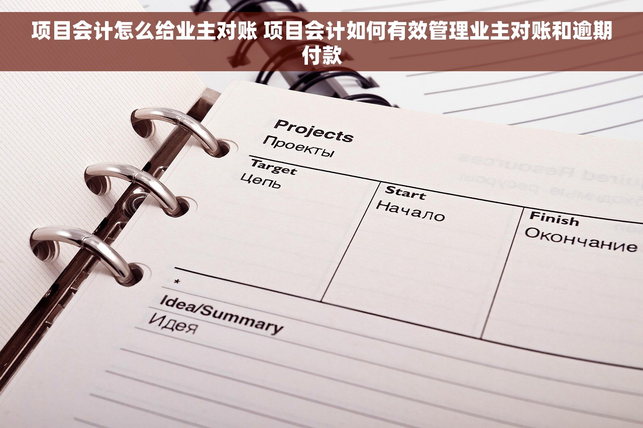 项目会计怎么给业主对账 项目会计如何有效管理业主对账和逾期付款