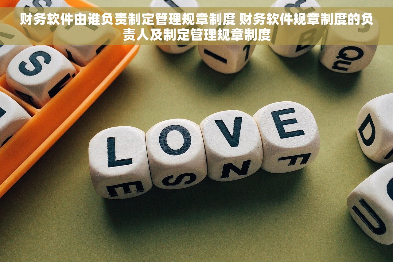 财务软件由谁负责制定管理规章制度 财务软件规章制度的负责人及制定管理规章制度