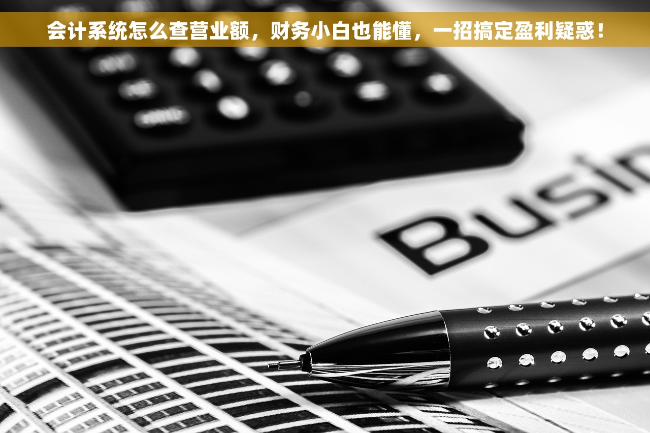 会计系统怎么查营业额，财务小白也能懂，一招搞定盈利疑惑！