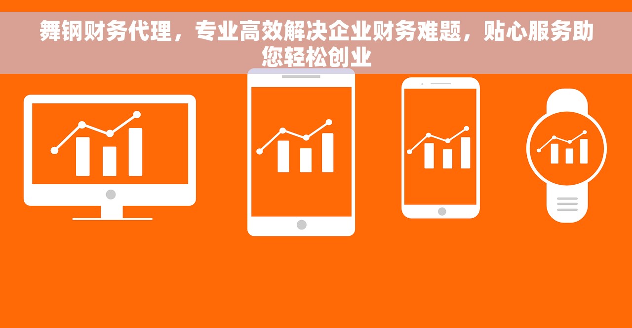 舞钢财务代理，专业高效解决企业财务难题，贴心服务助您轻松创业