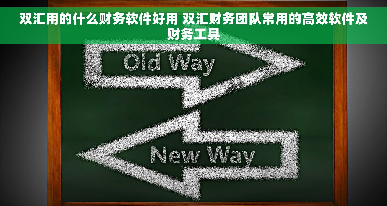 双汇用的什么财务软件好用 双汇财务团队常用的高效软件及财务工具