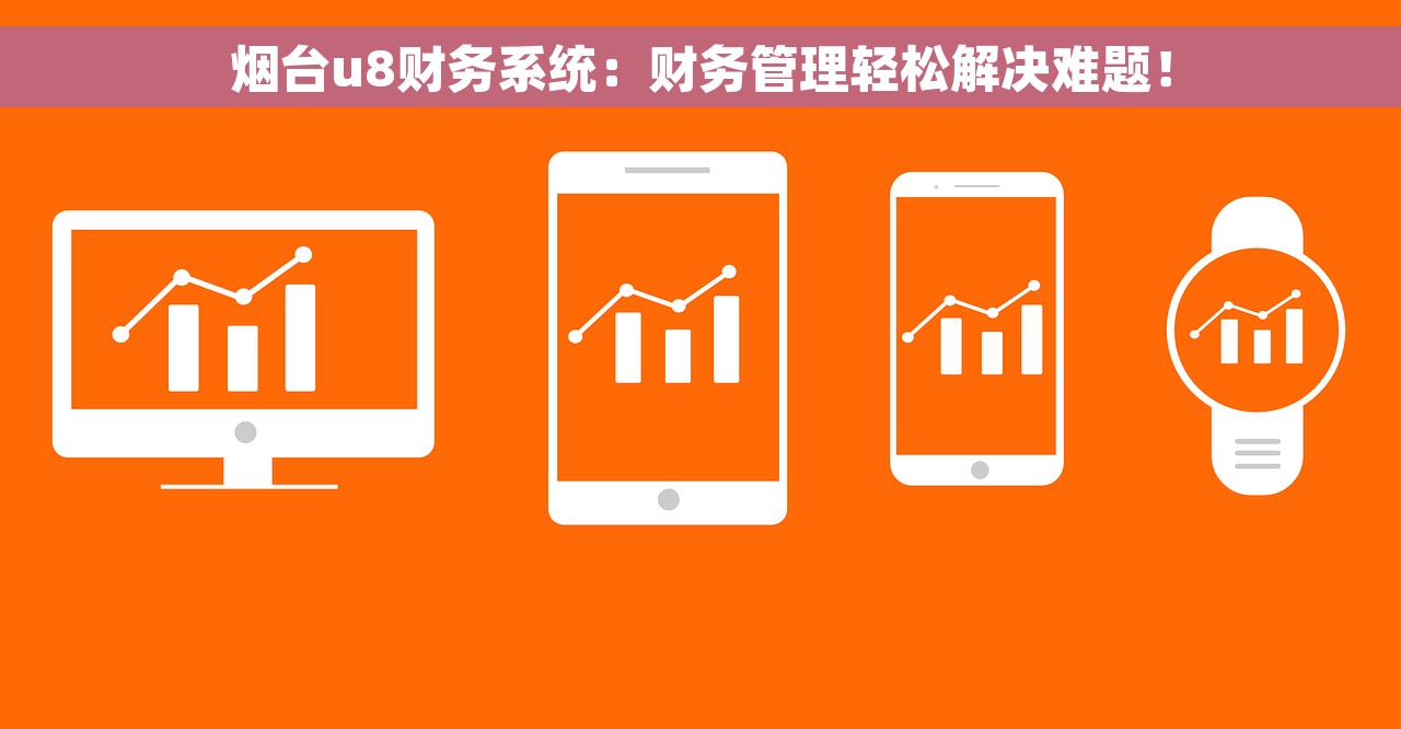 烟台u8财务系统：财务管理轻松解决难题！