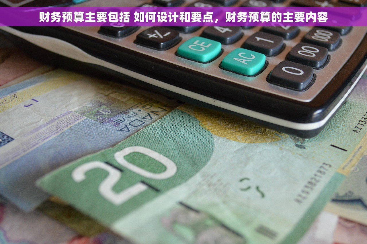 财务预算主要包括 如何设计和要点，财务预算的主要内容
