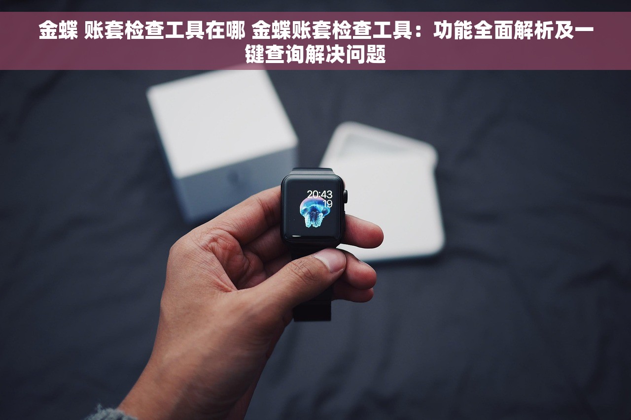 金蝶 账套检查工具在哪 金蝶账套检查工具：功能全面解析及一键查询解决问题