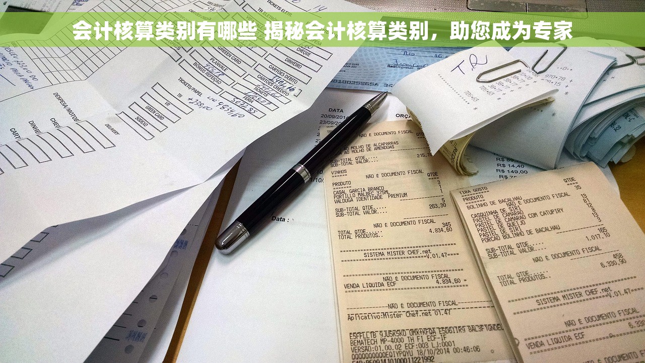 会计核算类别有哪些 揭秘会计核算类别，助您成为专家