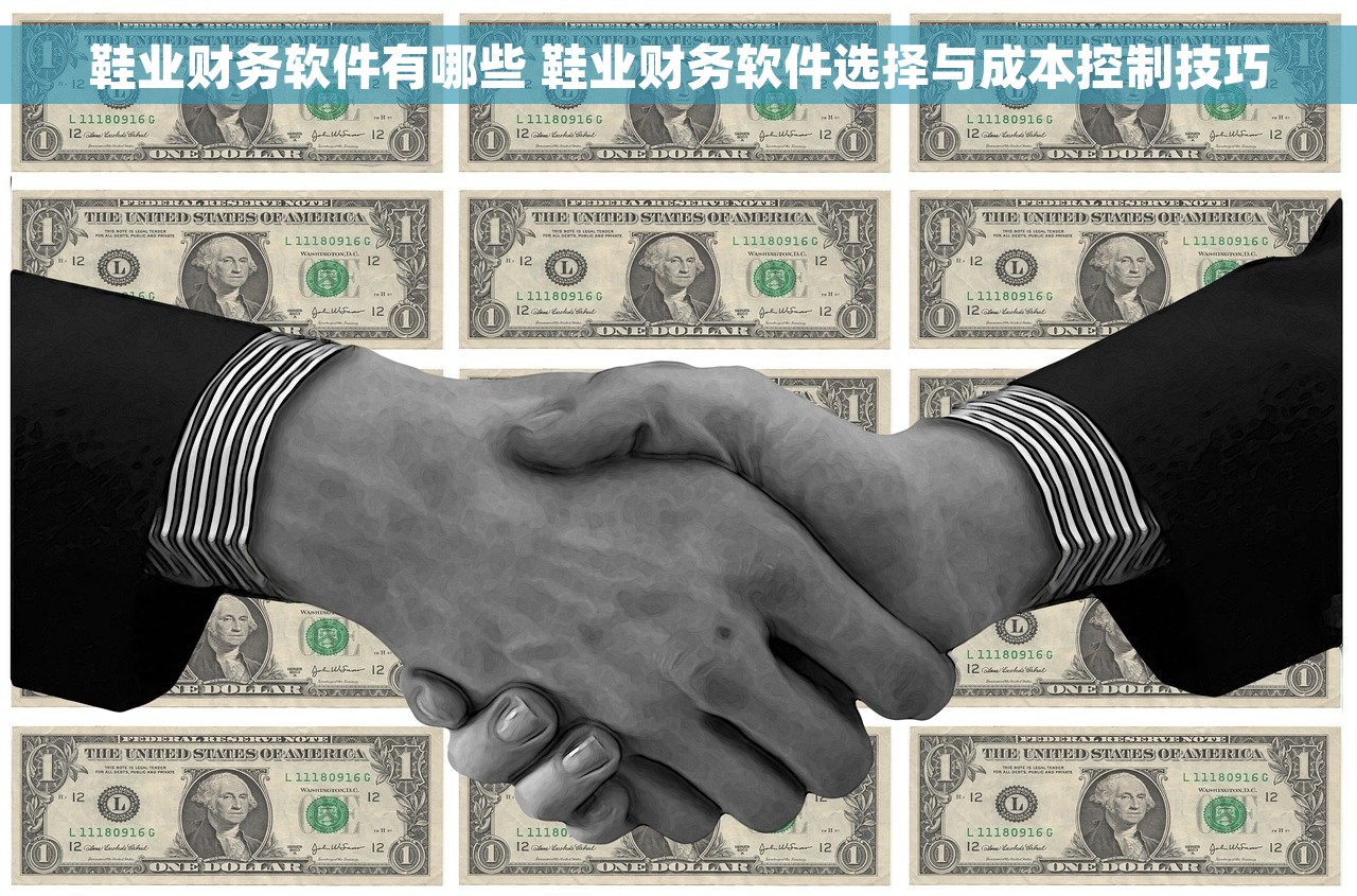 鞋业财务软件有哪些 鞋业财务软件选择与成本控制技巧