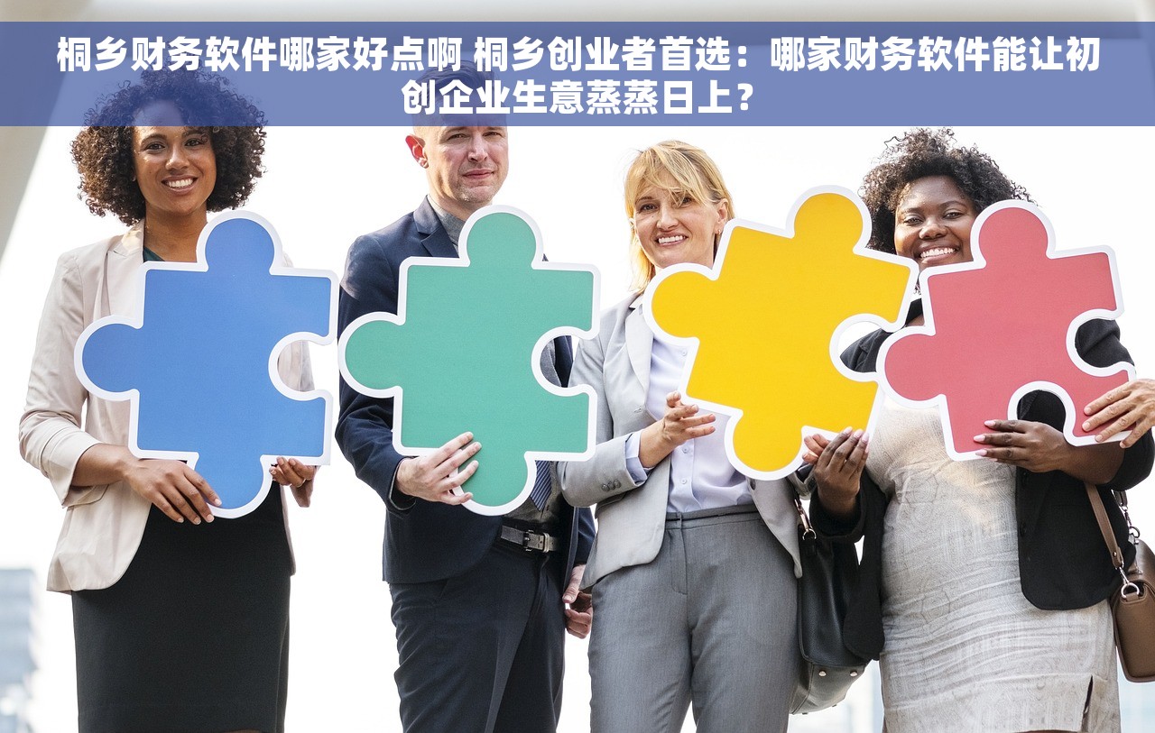 桐乡财务软件哪家好点啊 桐乡创业者首选：哪家财务软件能让初创企业生意蒸蒸日上？
