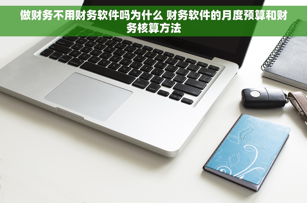 做财务不用财务软件吗为什么 财务软件的月度预算和财务核算方法